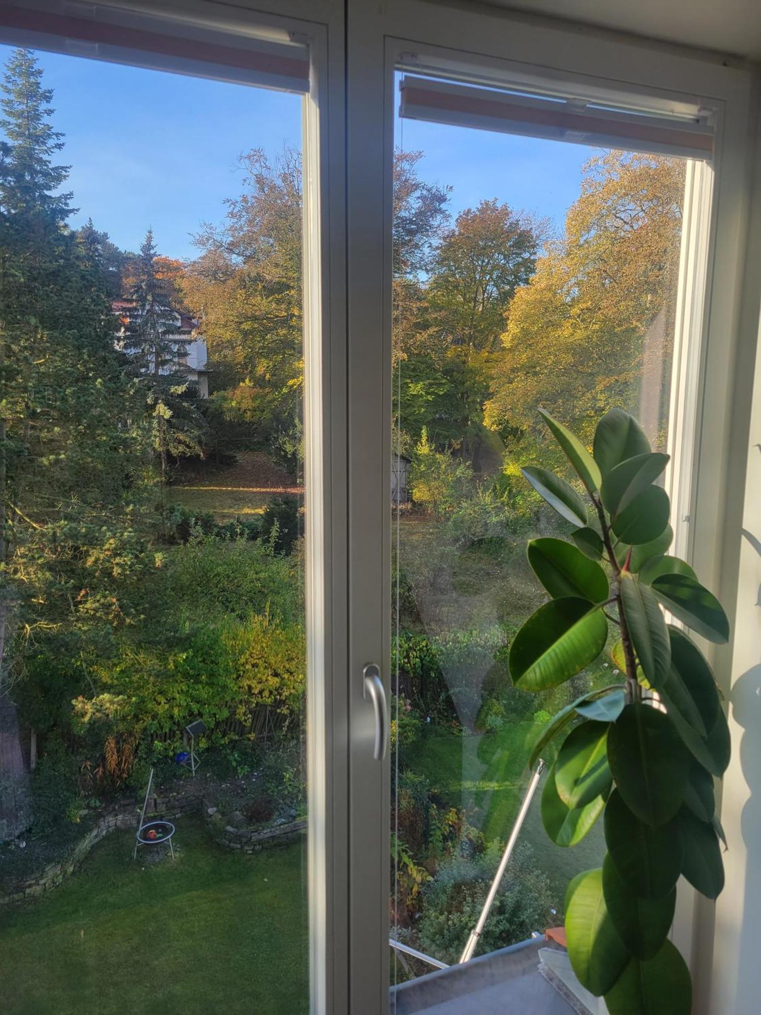 Wohnen Am Steiger In Erfurt Sued Apartment ภายนอก รูปภาพ